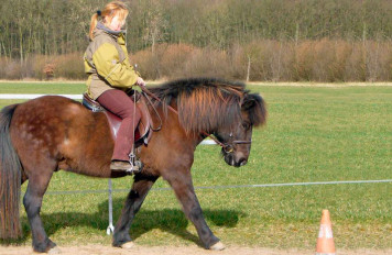 Reiten auf einem Isländer