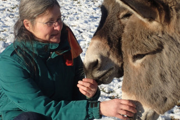 Anja görtzen arbeitet mit zwei Eseln