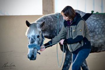 Connected Riding® bei der Bodenarbeit