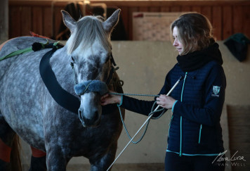Reitschülerin mit Pferd