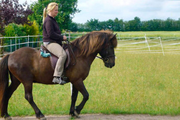 Reiten auf Isländer nachher